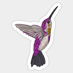 Hummingbird Sticker